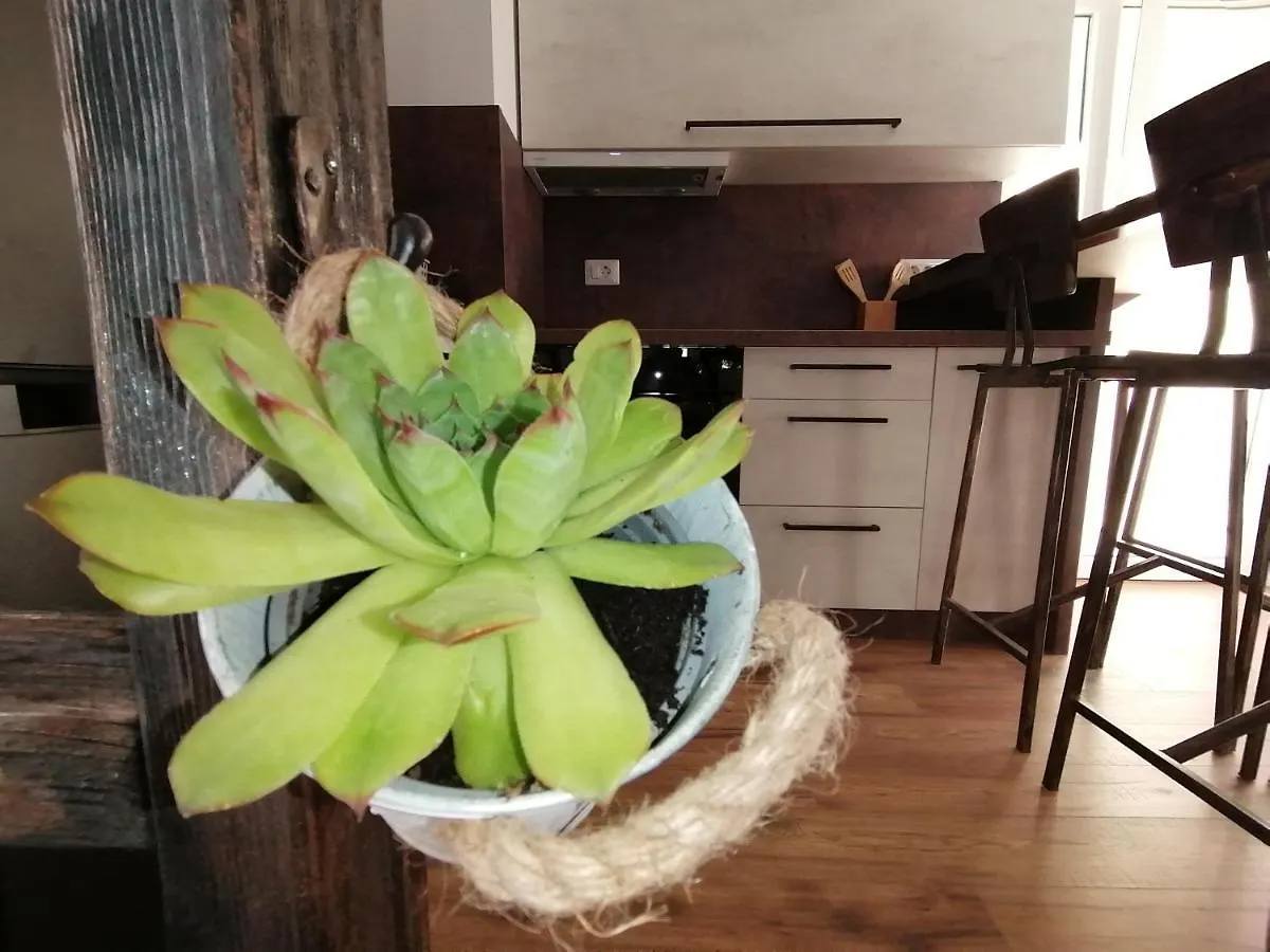 Apartamento Apartmani Kiko Poreč